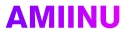 Logo of AMIINU LIMITED, USA