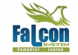 Logo of FALCON SYSTEMS EGYPT, Egypt